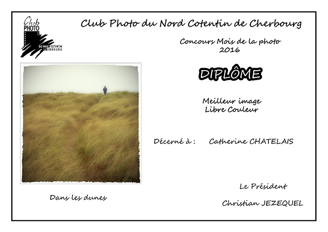 diplome meilleur image libre couleur catherine chatelais S