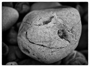 Mes p'tits gards laids