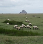 Pré-salé - Marie-Thérèse Morange