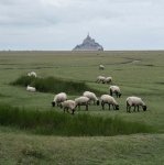 Pré-salé - Marie-Thérèse Morange