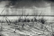 2020 - National 1 - Monochrome