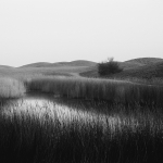 Dunes de Collignon - Clément RABEC