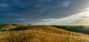 _dsc6544