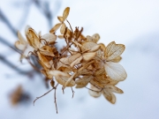 dsc00062