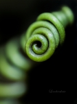 spirale3