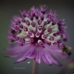 img_20190709_233903_551