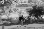 la Loire à vélo