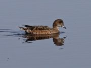img_4666-1